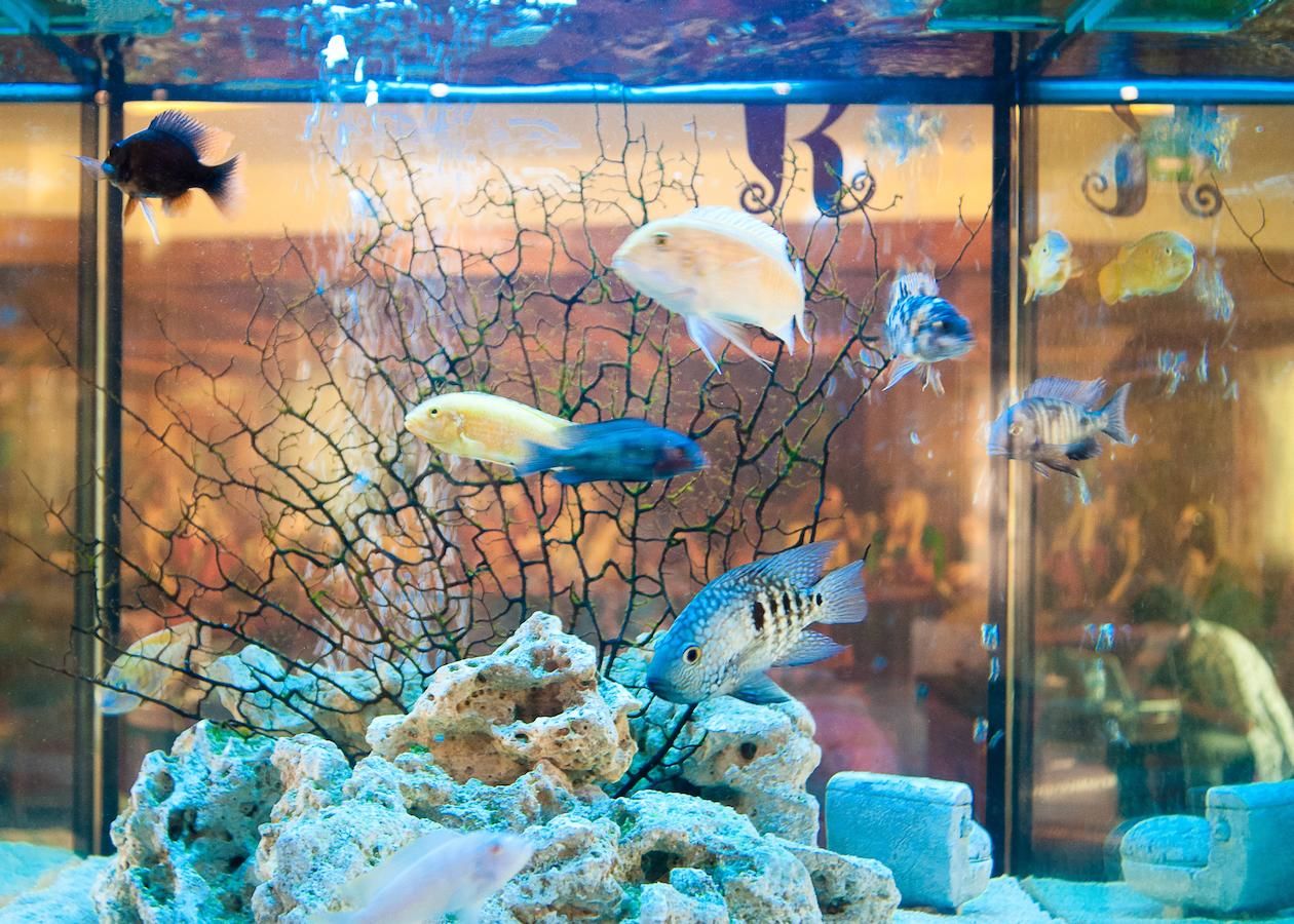 Хостелы Kinlay House Eyre Square Hostel Голуэй-43