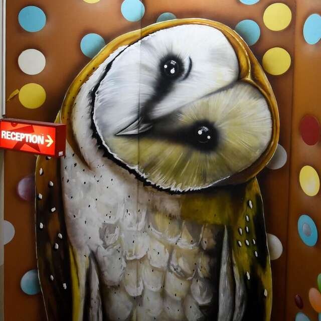 Хостелы Kinlay House Eyre Square Hostel Голуэй-19